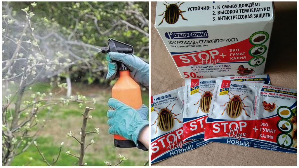 Le coléoptère Stop Drug