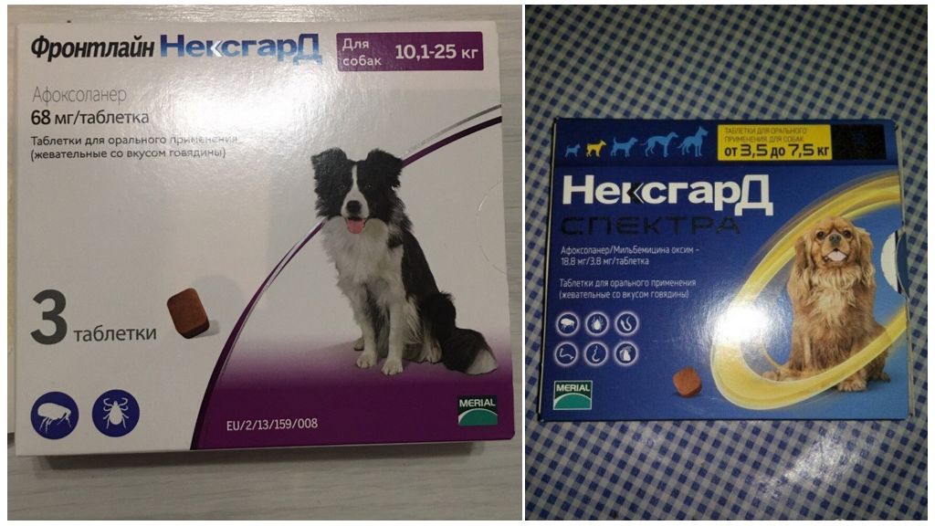 Frontline Nexgard comprimidos para carrapatos e pulgas para cães