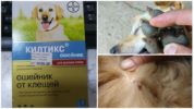 Collare Kiltiks per cani di pulci e zecche