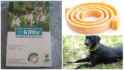 Kiltiks Halsband für Hunde von Flöhen und Zecken