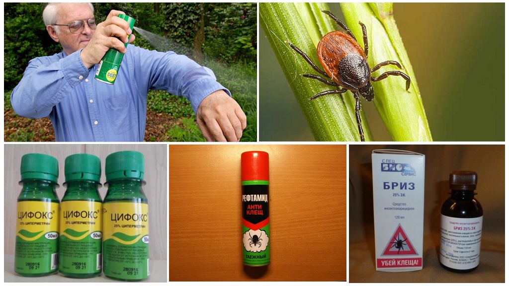 The best tick remedies for humans