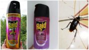 Aerosoli Raid împotriva insectelor zburătoare și târâtoare (Lavanda, Lunca de primăvară)