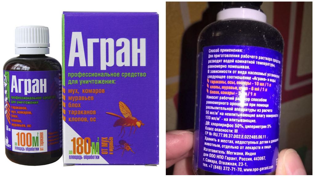 Remedy Agran dari kecoa