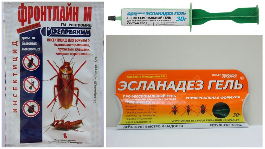 Remedies for cockroaches with fipronil