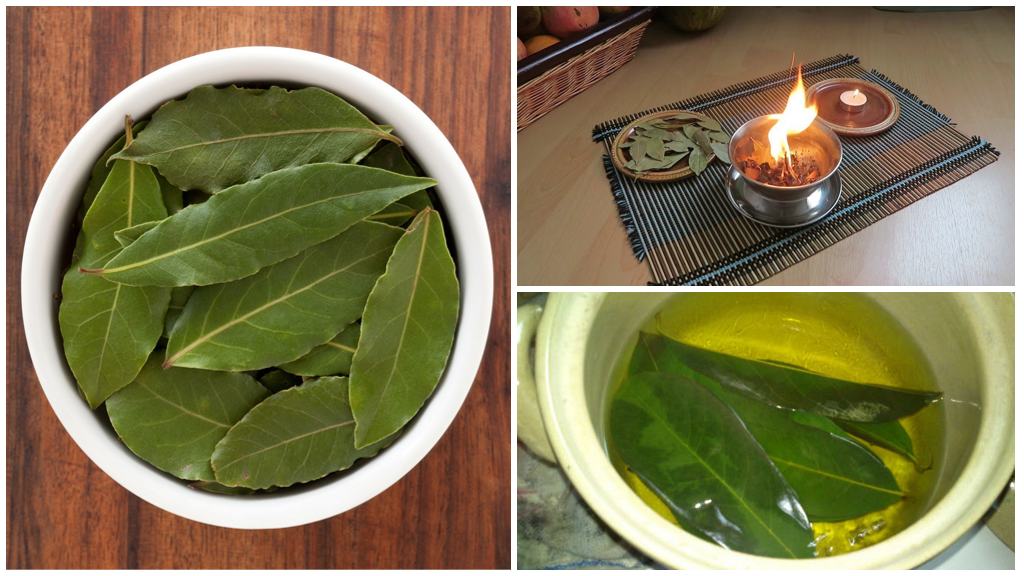 How to use bay leaf from cockroaches
