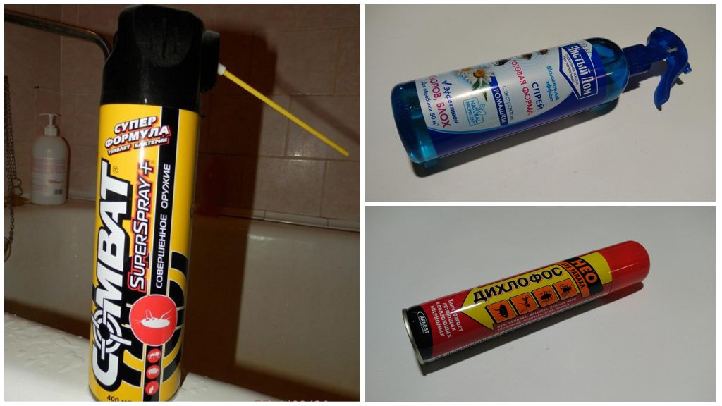 Sprays og aerosoler fra kakerlakker